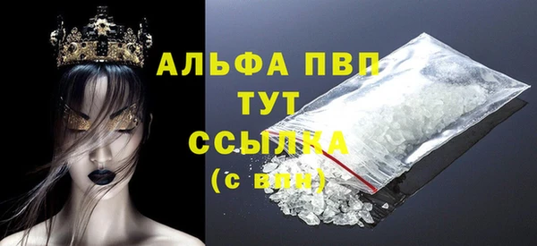 гашик Абаза