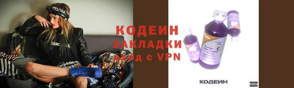 дурь Переславль-Залесский