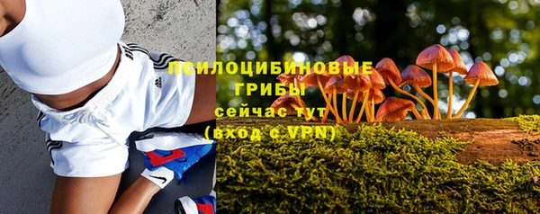 гашик Абаза