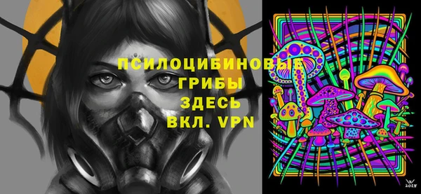 гашик Абаза