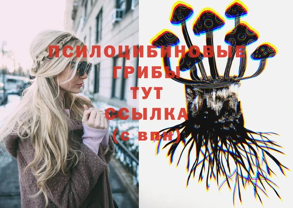 твердый Щигры
