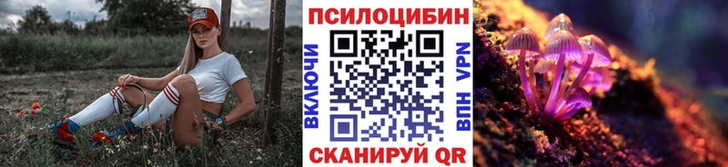 darknet официальный сайт  Княгинино  Псилоцибиновые грибы мицелий  ссылка на мегу как войти 